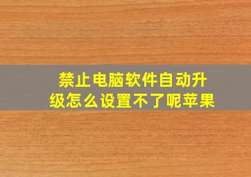 禁止电脑软件自动升级怎么设置不了呢苹果