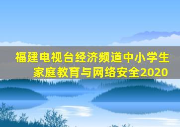 福建电视台经济频道中小学生家庭教育与网络安全2020