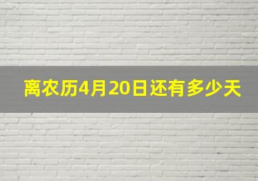 离农历4月20日还有多少天