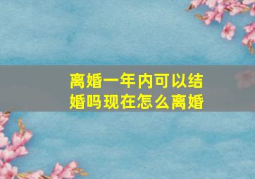 离婚一年内可以结婚吗现在怎么离婚