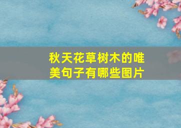 秋天花草树木的唯美句子有哪些图片