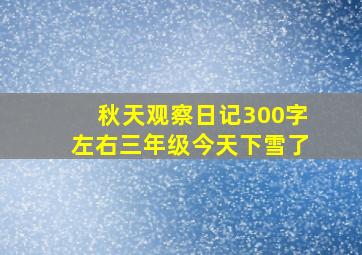 秋天观察日记300字左右三年级今天下雪了