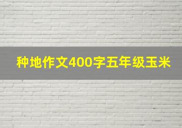 种地作文400字五年级玉米