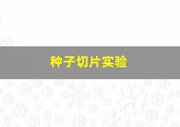 种子切片实验