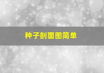 种子剖面图简单