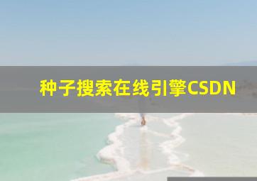 种子搜索在线引擎CSDN