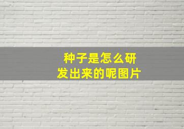 种子是怎么研发出来的呢图片