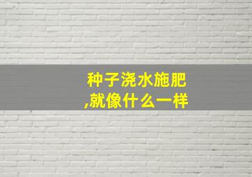 种子浇水施肥,就像什么一样