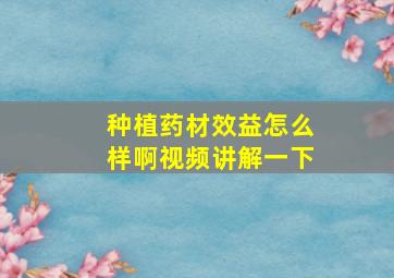 种植药材效益怎么样啊视频讲解一下