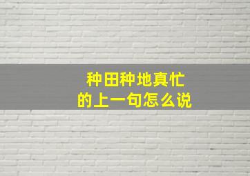 种田种地真忙的上一句怎么说