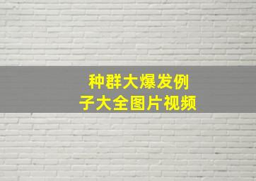 种群大爆发例子大全图片视频