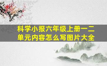 科学小报六年级上册一二单元内容怎么写图片大全