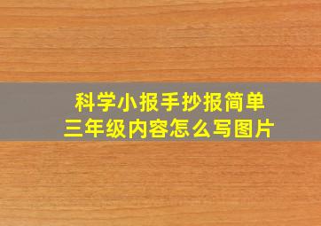 科学小报手抄报简单三年级内容怎么写图片