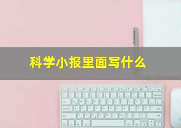 科学小报里面写什么