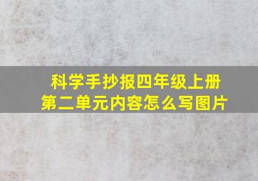 科学手抄报四年级上册第二单元内容怎么写图片