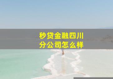 秒贷金融四川分公司怎么样