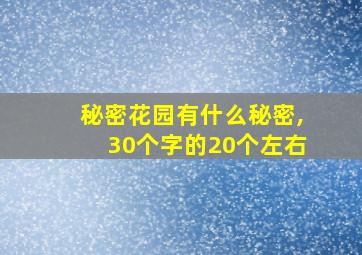 秘密花园有什么秘密,30个字的20个左右