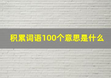 积累词语100个意思是什么