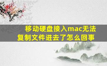 移动硬盘接入mac无法复制文件进去了怎么回事