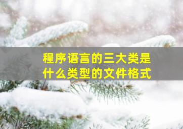 程序语言的三大类是什么类型的文件格式