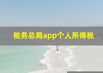 税务总局app个人所得税