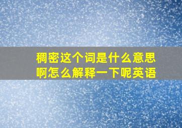 稠密这个词是什么意思啊怎么解释一下呢英语