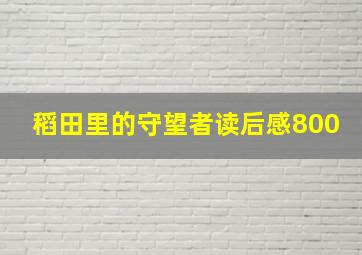 稻田里的守望者读后感800