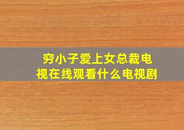 穷小子爱上女总裁电视在线观看什么电视剧