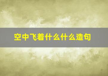 空中飞着什么什么造句