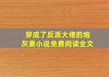 穿成了反派大佬的炮灰妻小说免费阅读全文