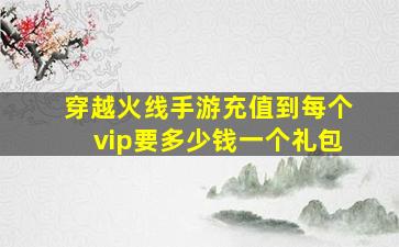 穿越火线手游充值到每个vip要多少钱一个礼包