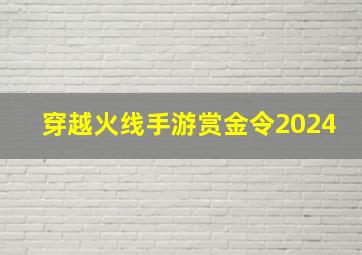 穿越火线手游赏金令2024