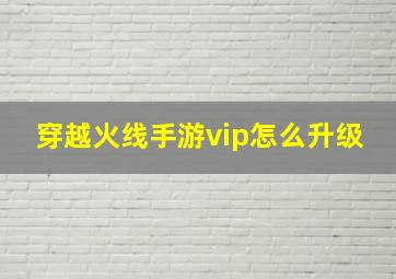 穿越火线手游vip怎么升级