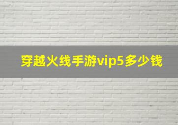 穿越火线手游vip5多少钱