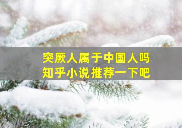 突厥人属于中国人吗知乎小说推荐一下吧