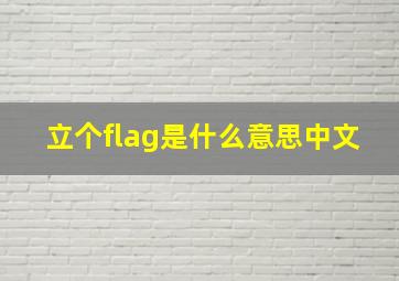 立个flag是什么意思中文