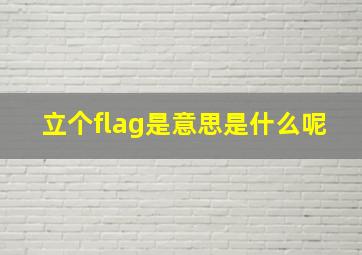 立个flag是意思是什么呢