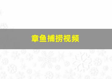 章鱼捕捞视频