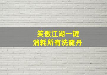 笑傲江湖一键消耗所有洗髓丹