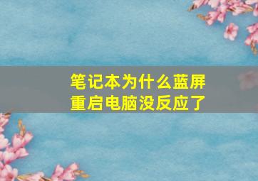 笔记本为什么蓝屏重启电脑没反应了