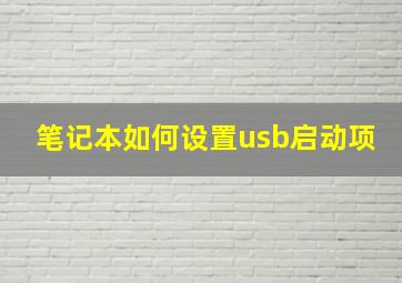 笔记本如何设置usb启动项