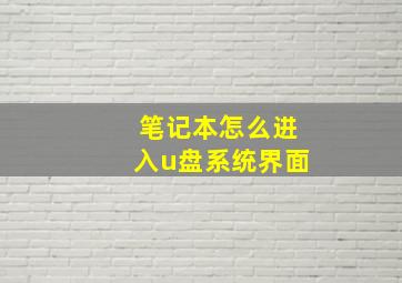 笔记本怎么进入u盘系统界面