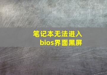 笔记本无法进入bios界面黑屏