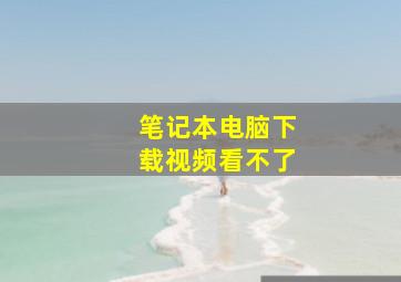 笔记本电脑下载视频看不了