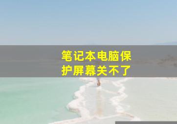 笔记本电脑保护屏幕关不了