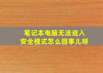 笔记本电脑无法进入安全模式怎么回事儿呀