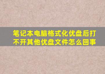 笔记本电脑格式化优盘后打不开其他优盘文件怎么回事