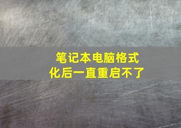 笔记本电脑格式化后一直重启不了