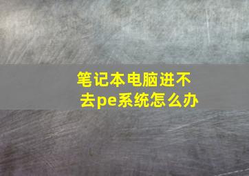 笔记本电脑进不去pe系统怎么办