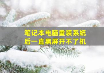 笔记本电脑重装系统后一直黑屏开不了机